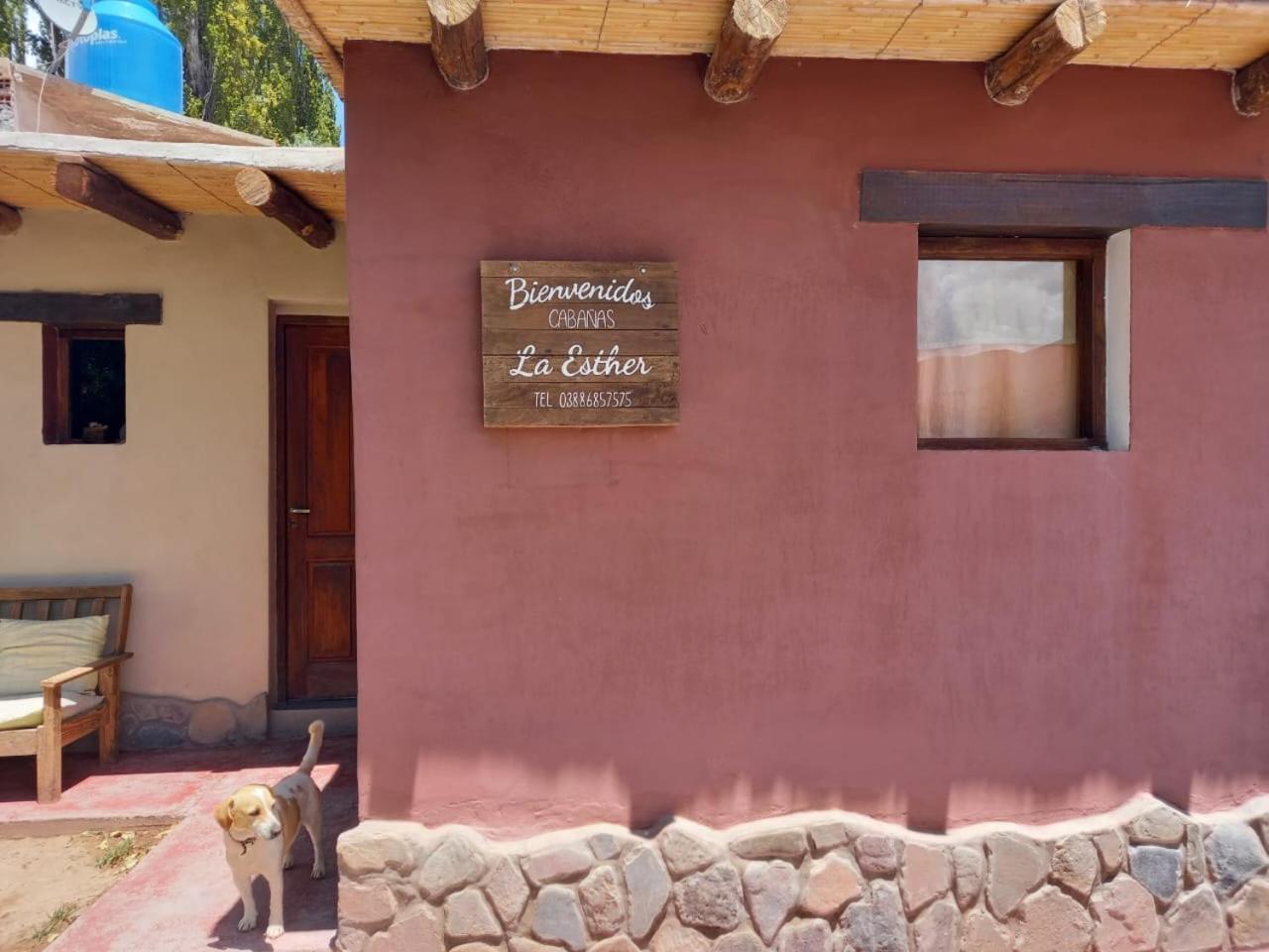 Cabanas La Esther Tilcara Eksteriør billede